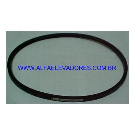 CORREIA B 46